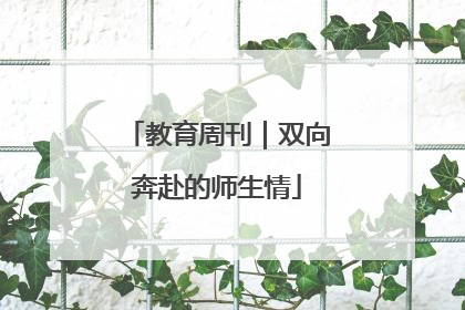 教育周刊｜双向奔赴的师生情