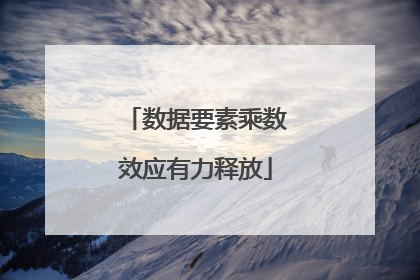 数据要素乘数效应有力释放