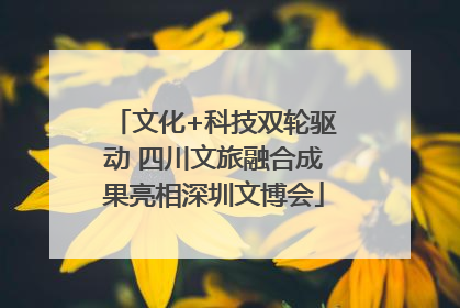 文化+科技双轮驱动 四川文旅融合成果亮相深圳文博会