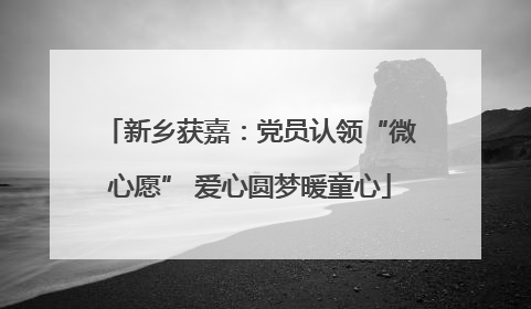 新乡获嘉：党员认领“微心愿” 爱心圆梦暖童心
