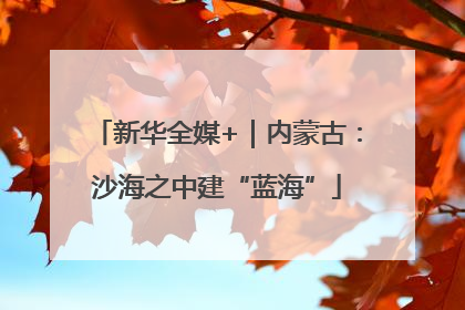新华全媒+｜内蒙古：沙海之中建“蓝海”