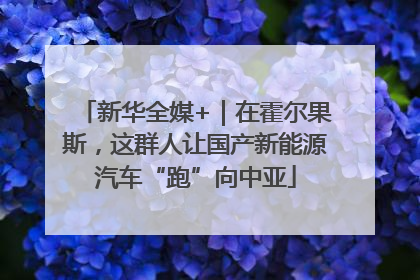 新华全媒+｜在霍尔果斯，这群人让国产新能源汽车“跑”向中亚