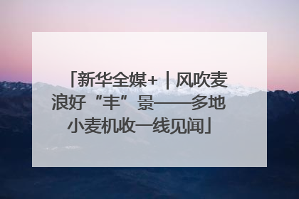 新华全媒+｜风吹麦浪好“丰”景——多地小麦机收一线见闻