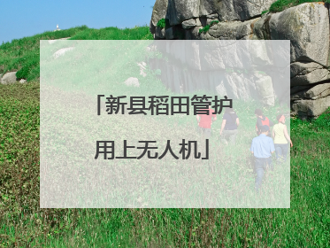 新县稻田管护用上无人机