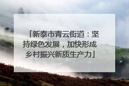 新泰市青云街道：坚持绿色发展，加快形成乡村振兴新质生产力