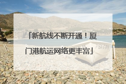新航线不断开通！厦门港航运网络更丰富