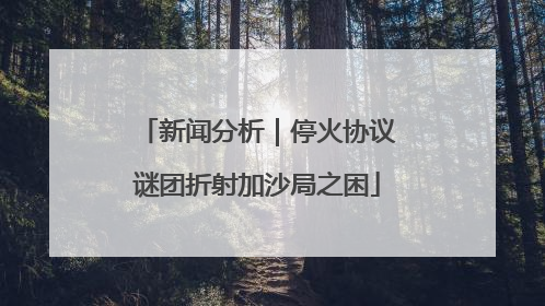 新闻分析｜停火协议谜团折射加沙局之困