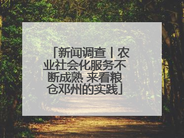 新闻调查丨农业社会化服务不断成熟 来看粮仓邓州的实践