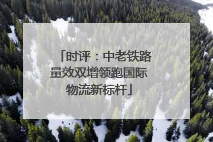 时评：中老铁路量效双增领跑国际物流新标杆