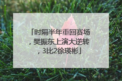 时隔半年重回赛场，樊振东上演大逆转，3比2徐瑛彬