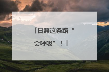 日照这条路“会呼吸”！