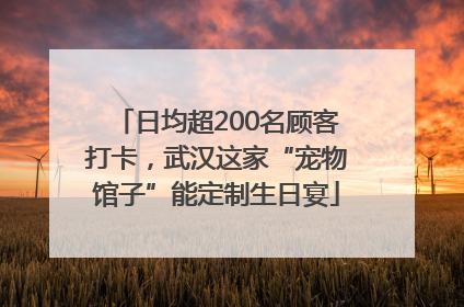 日均超200名顾客打卡，武汉这家“宠物馆子”能定制生日宴