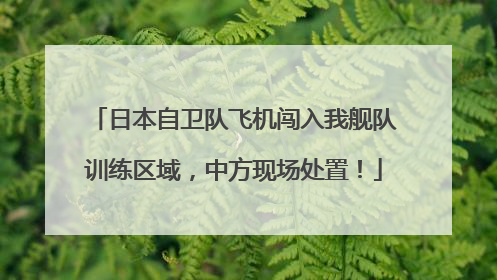 日本自卫队飞机闯入我舰队训练区域，中方现场处置！