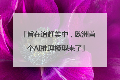 旨在追赶美中，欧洲首个AI推理模型来了