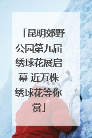 昆明郊野公园第九届绣球花展启幕 近万株绣球花等你赏