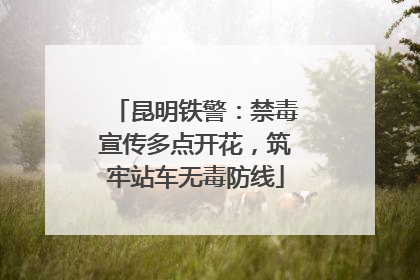昆明铁警：禁毒宣传多点开花，筑牢站车无毒防线