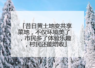 昔日黄土地变共享菜地，不仅环境美了，市民多了体验乐趣，村民还能增收