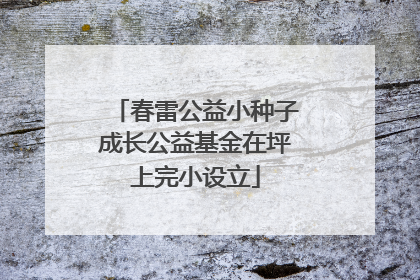 春雷公益小种子成长公益基金在坪上完小设立