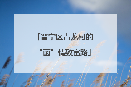 晋宁区青龙村的“菌”情致富路