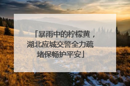 暴雨中的柠檬黄，湖北应城交警全力疏堵保畅护平安