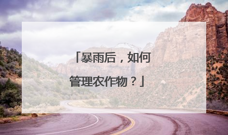 暴雨后，如何管理农作物？