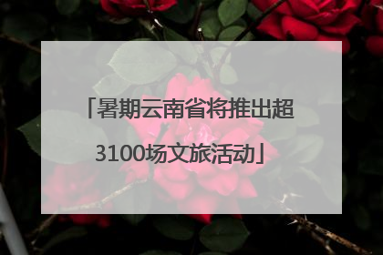 暑期云南省将推出超3100场文旅活动