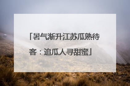 暑气渐升江苏瓜熟待客：追瓜人寻甜蜜