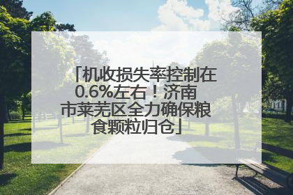 机收损失率控制在0.6%左右！济南市莱芜区全力确保粮食颗粒归仓