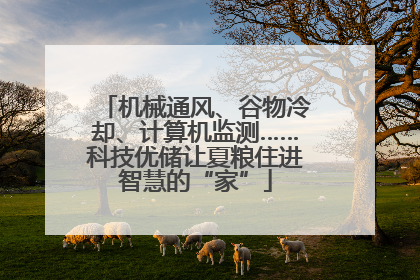 机械通风、谷物冷却、计算机监测……科技优储让夏粮住进智慧的“家”