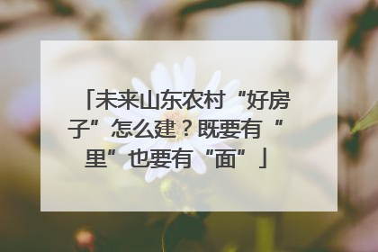 未来山东农村“好房子”怎么建？既要有“里”也要有“面”