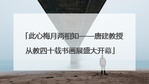此心梅月两相知——唐建教授从教四十载书画展盛大开幕