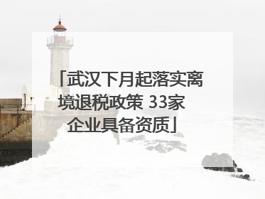 武汉下月起落实离境退税政策 33家企业具备资质