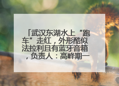 武汉东湖水上“跑车”走红，外形酷似法拉利且有蓝牙音箱，负责人：高峰期一两百人排队