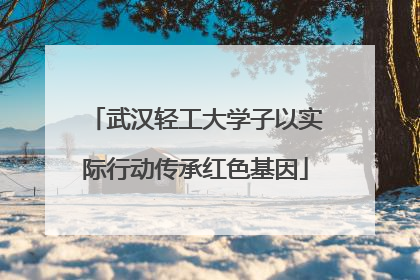 武汉轻工大学子以实际行动传承红色基因