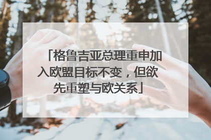 格鲁吉亚总理重申加入欧盟目标不变，但欲先重塑与欧关系