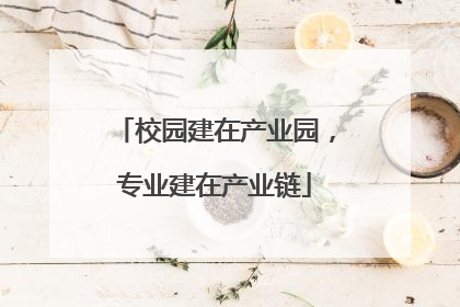 校园建在产业园，专业建在产业链
