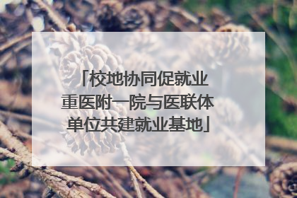 校地协同促就业 重医附一院与医联体单位共建就业基地