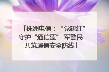 株洲电信：“党建红”守护“通信蓝” 军警民共筑通信安全防线