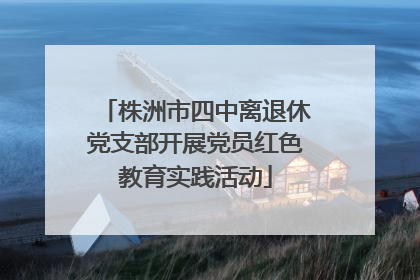 株洲市四中离退休党支部开展党员红色教育实践活动