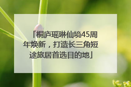 桐庐瑶琳仙境45周年焕新，打造长三角短途旅居首选目的地