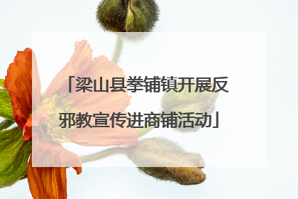 梁山县拳铺镇开展反邪教宣传进商铺活动