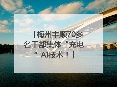 梅州丰顺70多名干部集体“充电”AI技术！