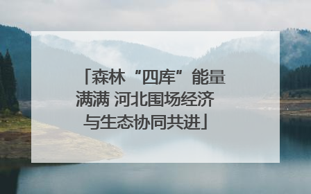 森林“四库”能量满满 河北围场经济与生态协同共进