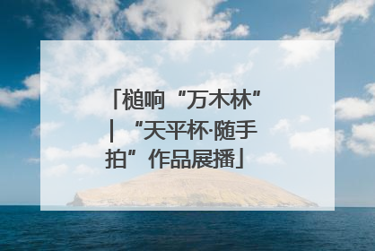 槌响“万木林”｜“天平杯·随手拍”作品展播