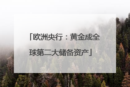 欧洲央行：黄金成全球第二大储备资产