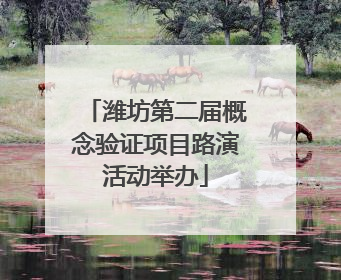 潍坊第二届概念验证项目路演活动举办