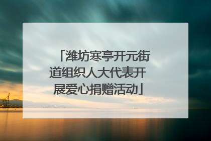 潍坊寒亭开元街道组织人大代表开展爱心捐赠活动