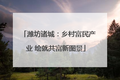 潍坊诸城：乡村富民产业 绘就共富新图景