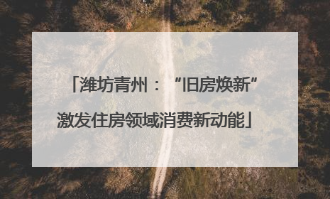 潍坊青州：“旧房焕新”激发住房领域消费新动能
