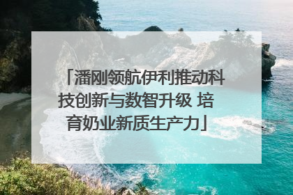 潘刚领航伊利推动科技创新与数智升级 培育奶业新质生产力